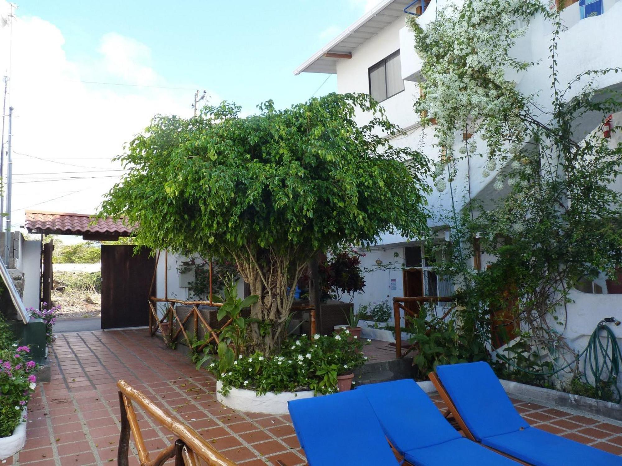 Hotel La Casa De Judy Puerto Ayora  Ngoại thất bức ảnh